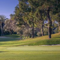 banus-executive-golf-golf